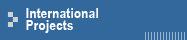 Environmental Services